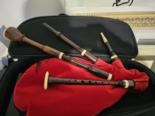 Gaita Gallega en DO de madera y funda
