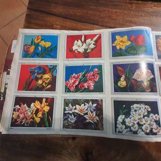 Album de cromos "Vida y color" 1970