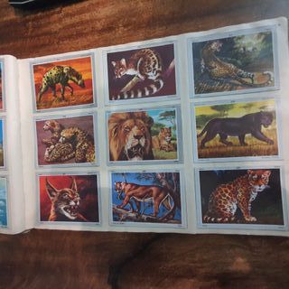 Album de cromos "Vida y color" 1970