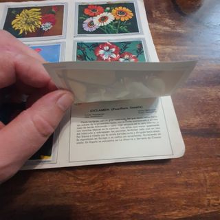 Album de cromos "Vida y color" 1970