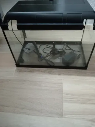 Acquario con accessori