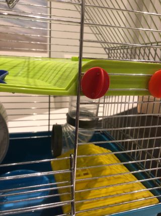 Gabbia per criceti con accessori