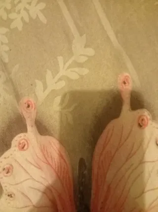 Chica por horas de limpiezas