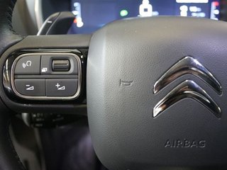 Citroën C5 Aircross BlueHdi 96kW (130CV) S&amp;S EAT8 C Series