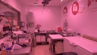 Carnicería Charcutería en Mercado Municipal