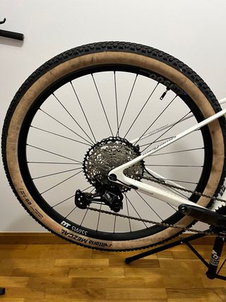 Megamo Factory Elite 05