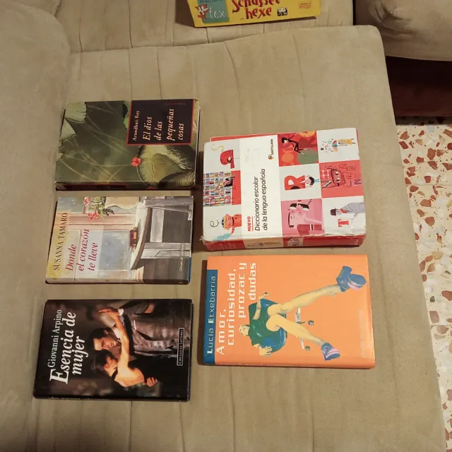 Lote 5 Libros Novela y Diccionario