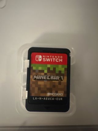 Minecraft Nintendo Switch