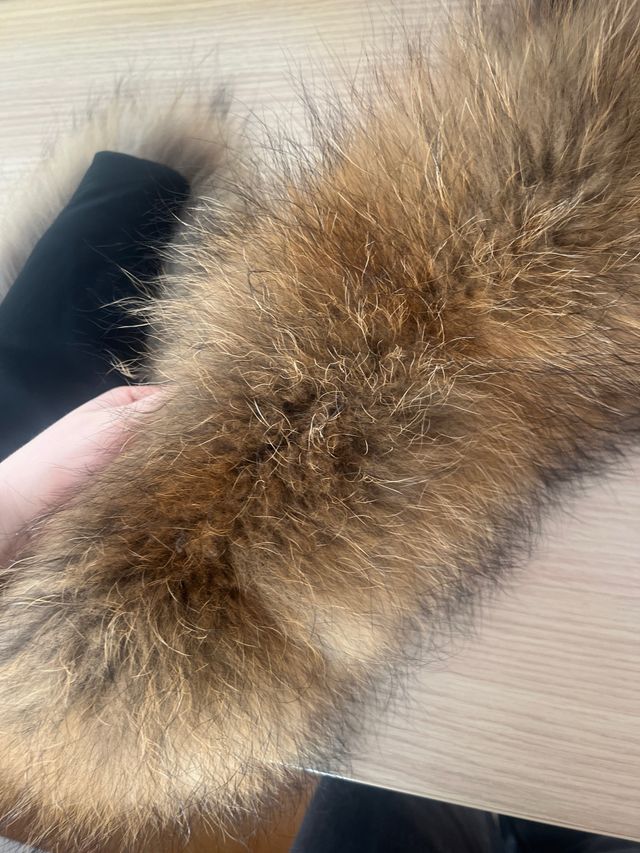 Cuello de pelo marrón y negro