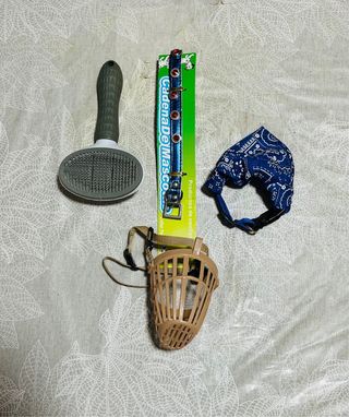 Set di accessori per cani di taglia media