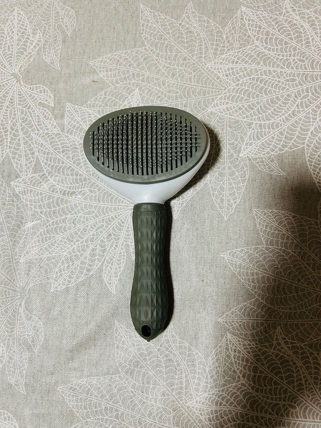 Lote Accesorios Perro Mediano