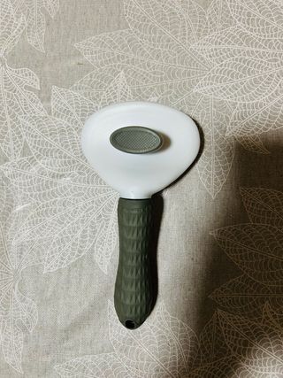 Set di accessori per cani di taglia media