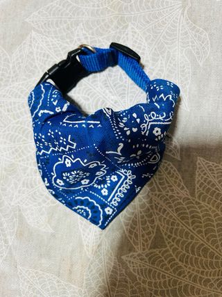 Set di accessori per cani di taglia media