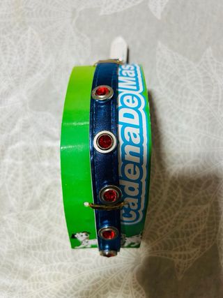 Set di accessori per cani di taglia media