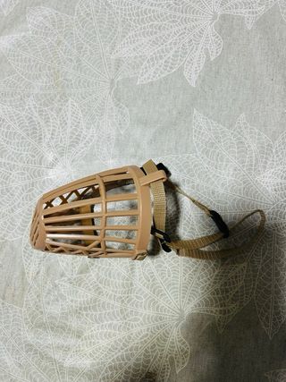 Set di accessori per cani di taglia media