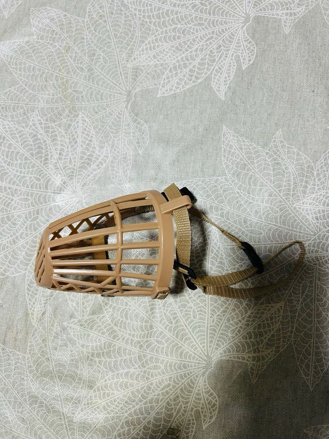 Lote Accesorios Perro Mediano