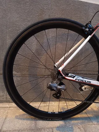 Bicicleta Carretera Focus Izalco Carbono