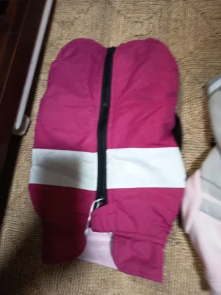 Abbigliamento per animali domestici: abiti vari