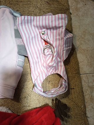 Abbigliamento per animali domestici: abiti vari