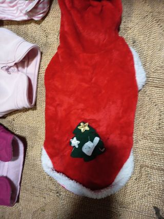 Abbigliamento per animali domestici: abiti vari
