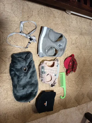 Abbigliamento e accessori per animali domestici