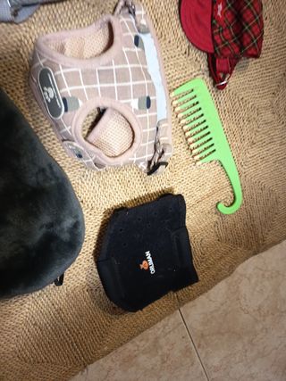 Abbigliamento e accessori per animali domestici