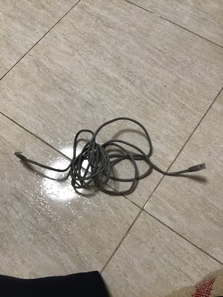 Cable gris con conectores RJ45