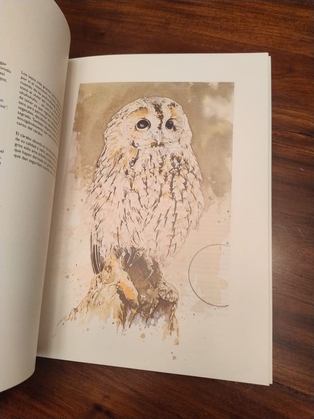 Una mirada natural ( fauna burgalesa)