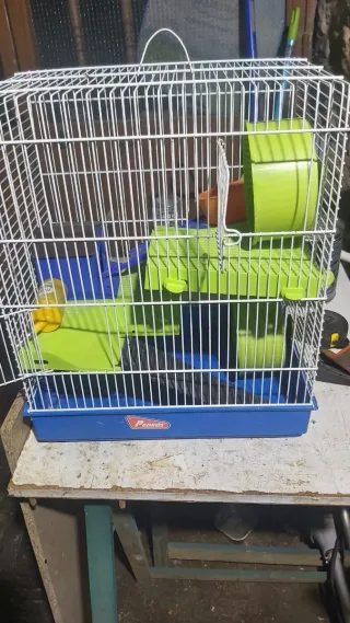 Accessori per gabbie per criceti inclusi