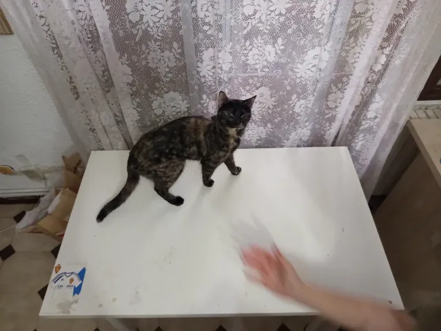 Mesa blanca escritorio/cocina madera