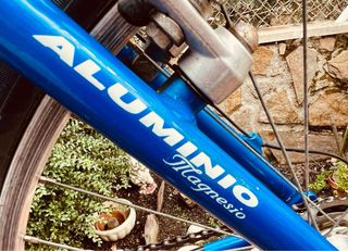 Bicicleta de Montaña