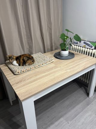 Mesa extensible roble y blanco