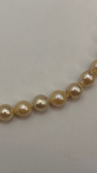 Collar de perlas con cierre de oro
