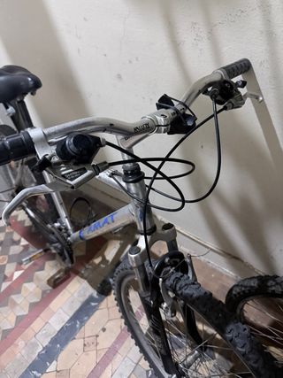 Bicicleta de montaña plateada