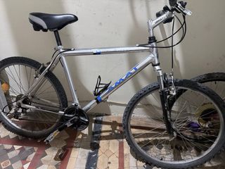 Bicicleta de montaña plateada
