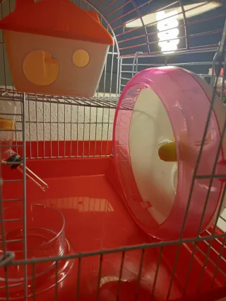 Spaziosa gabbia per criceti con accessori.