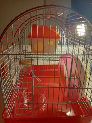 Spaziosa gabbia per criceti con accessori.
