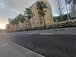 Cuidadora