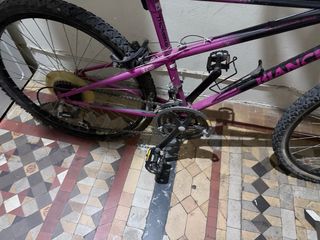 Bicicleta Bianchi Morada