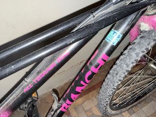 Bicicleta Bianchi Morada