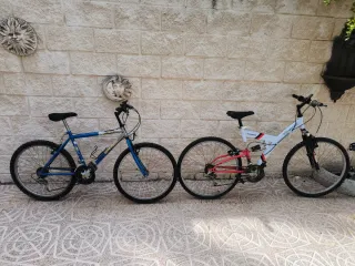 2 Bicicletas de Montaña