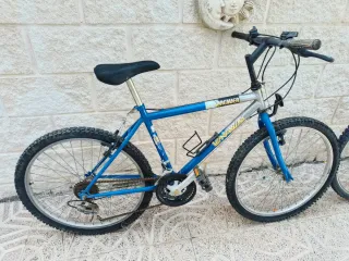 2 Bicicletas de Montaña