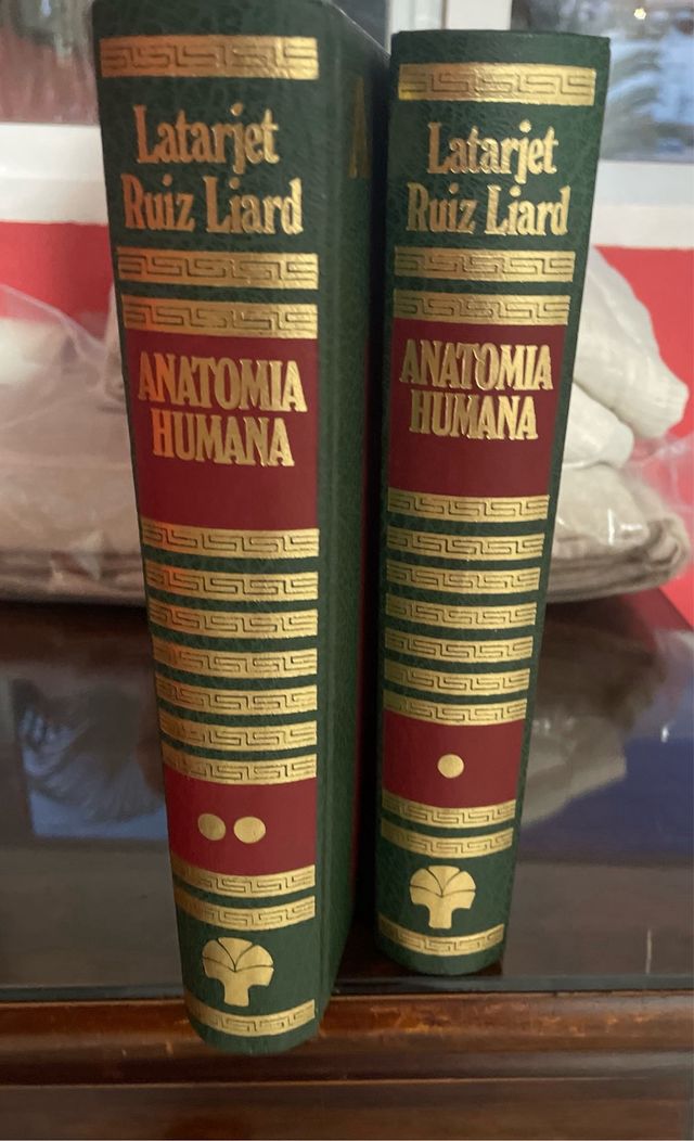 Anatomía humana