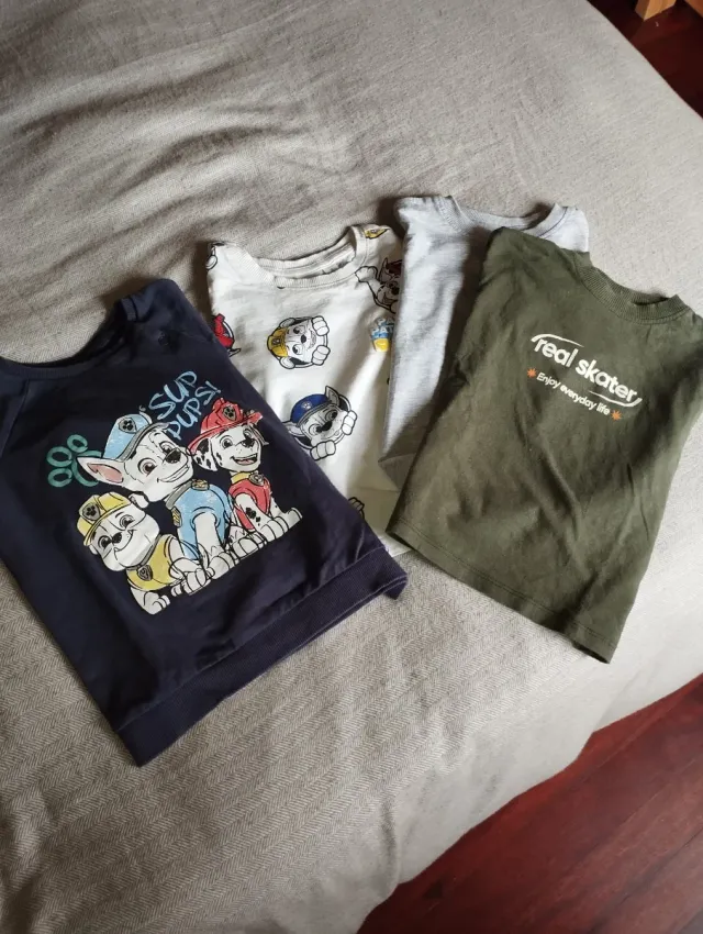 Lote camisetas infantiles+sudadera