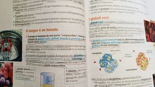 Life. La natura intorno – Per la Scuola media.