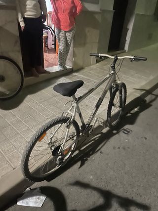 Bicicleta Top Bike