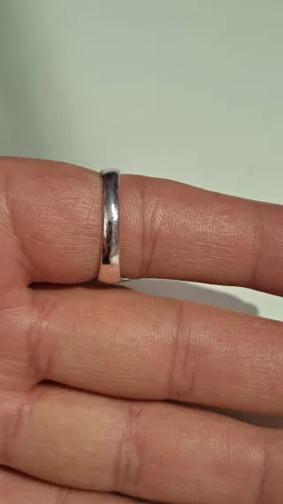 Anillo Obispo Acero y Aleación Plata Rojo