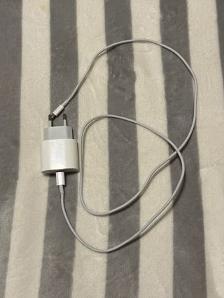 Cargador iPhone