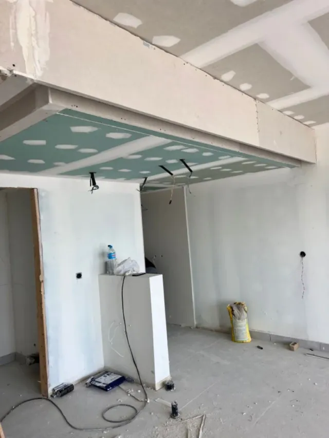 Pladuristas profesionales