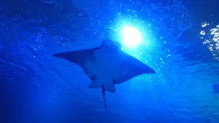 Cámara Digital Negra 4K ULTRA HD